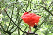 IMG_3219